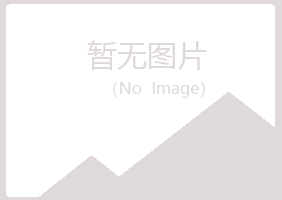 乐山夏岚机械有限公司